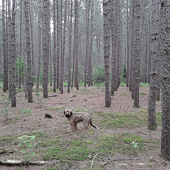 Meet your Posher, Wanda - Picture 1 of 1